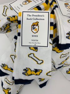 The President's Sock Collection: 2022 Youth Design